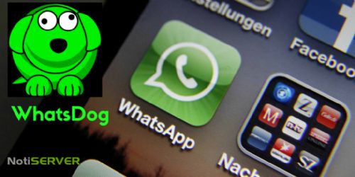 Con WhatsDog puedes saber cada vez que alguien se conecta a su WhatsApp