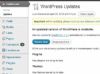 WordPress 3.3.2, actualización de seguridad que corrige 11 fallos